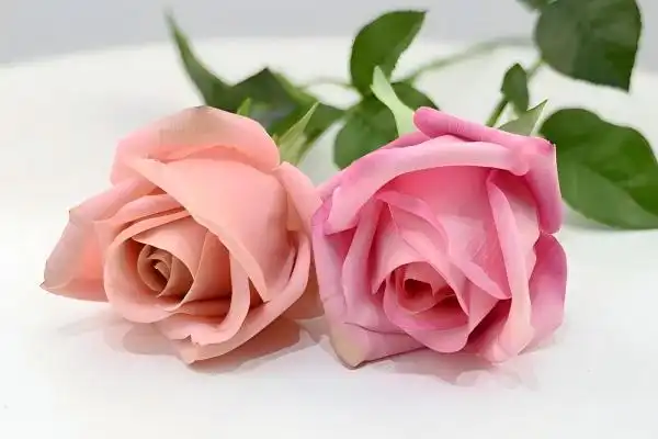 Real Touch Roses for High-End Retail Floral Displays